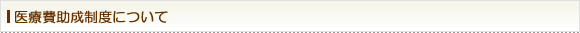 医療費助成制度について